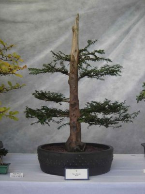 shol034.jpg