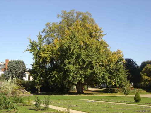 shol041.jpg